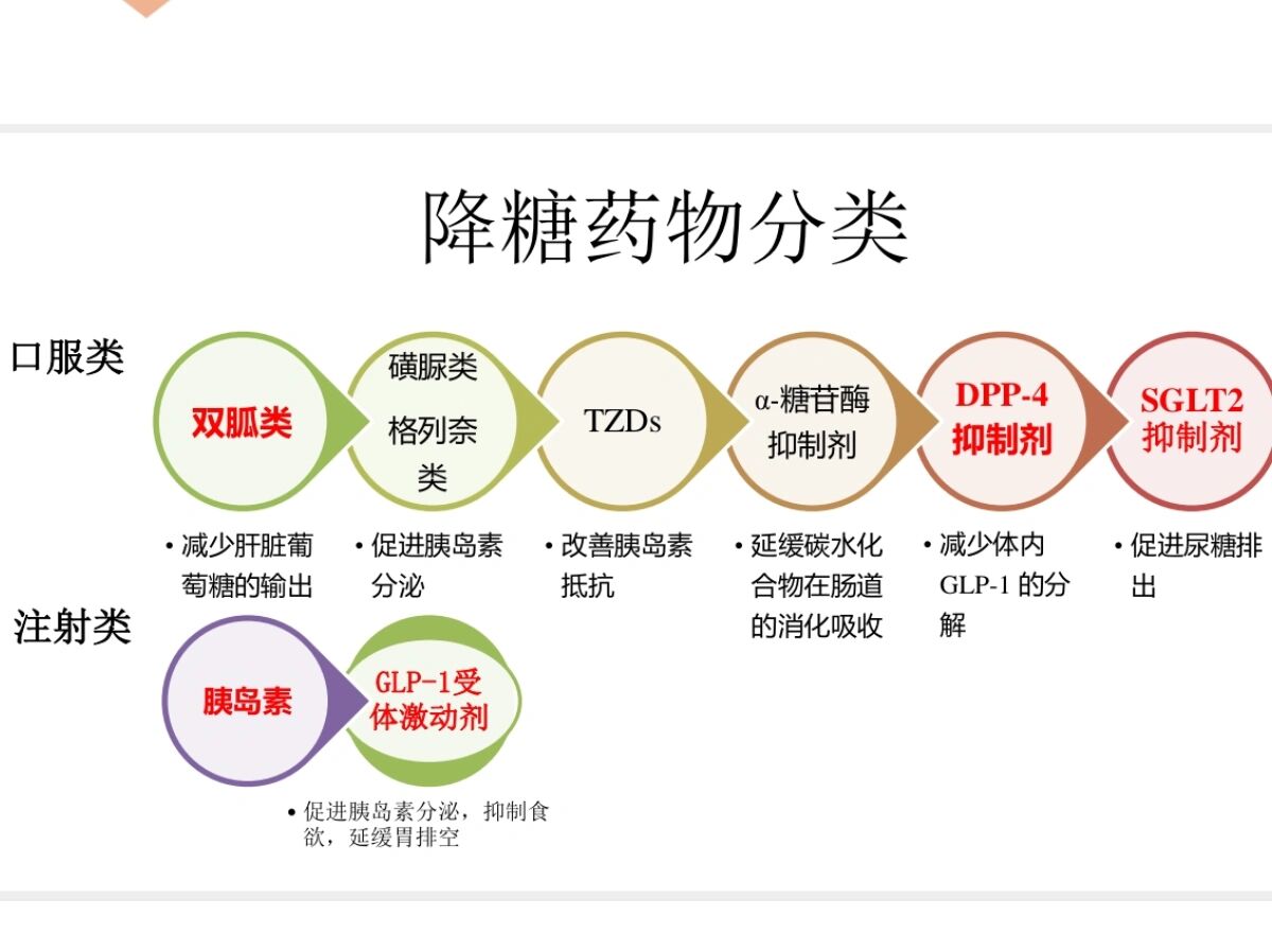 糖尿病药物分类图片