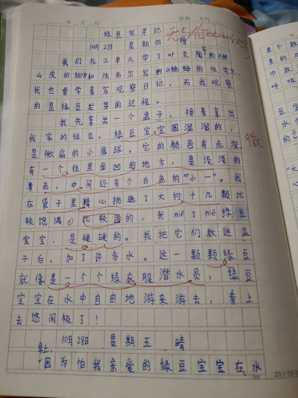 观察绿豆日记三年级300字(观察绿豆日记三年级300字左右)