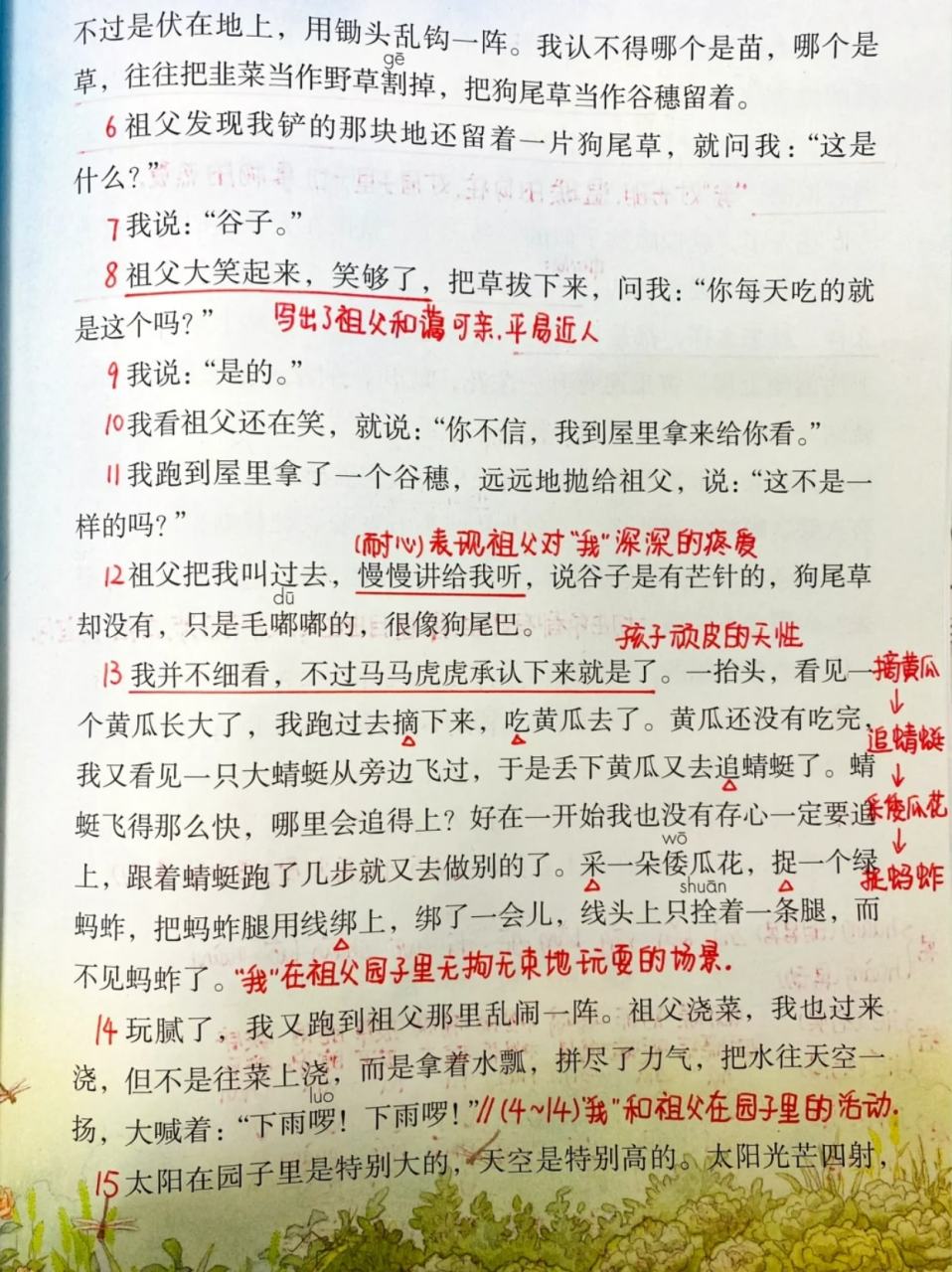 祖父的园子的笔记重点图片