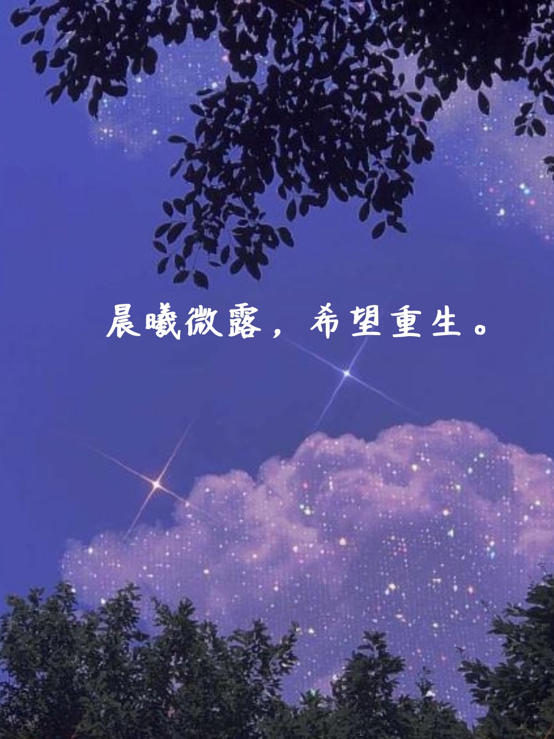 唯美的句子 优美短句  大家好,我想分享一些唯美的句子,它们像一幅幅