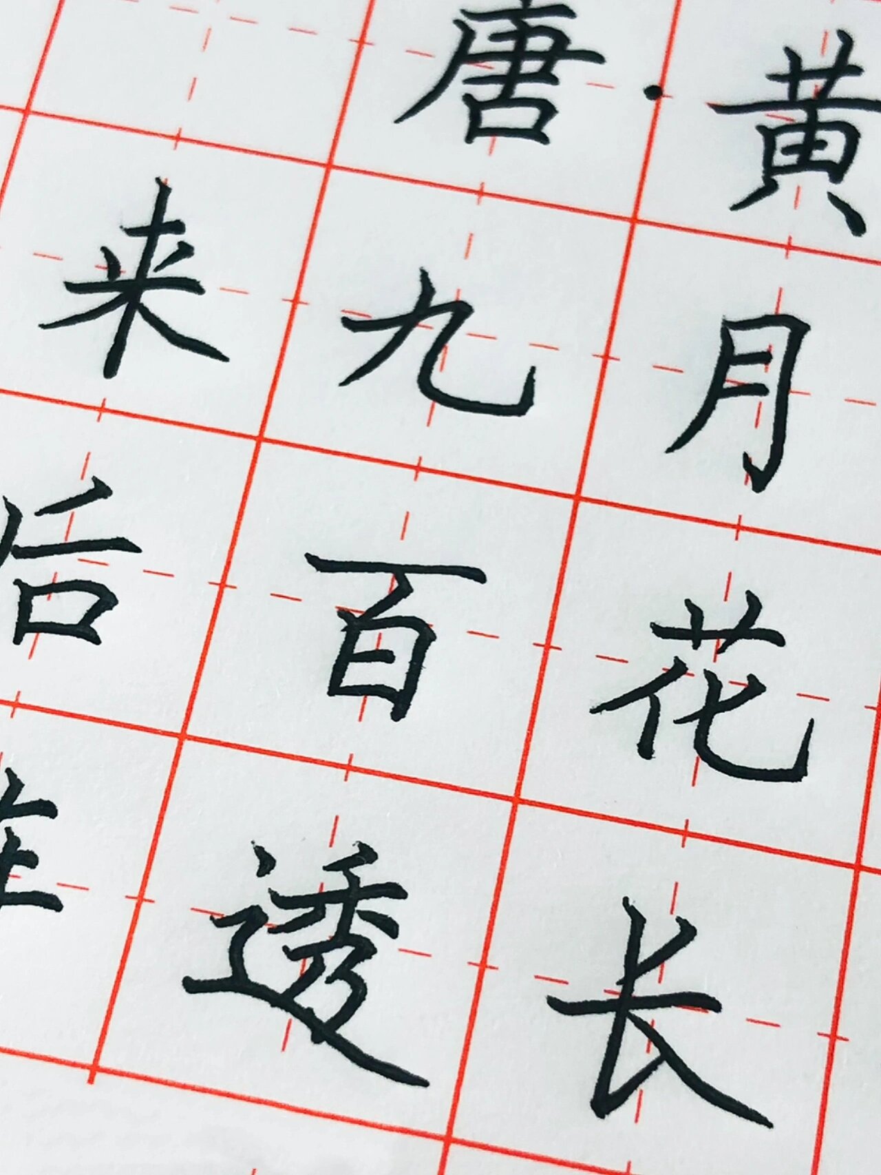 手写丨硬笔书法 唐诗巜菊花》满城尽带黄金甲 待到秋来九月八,我花开