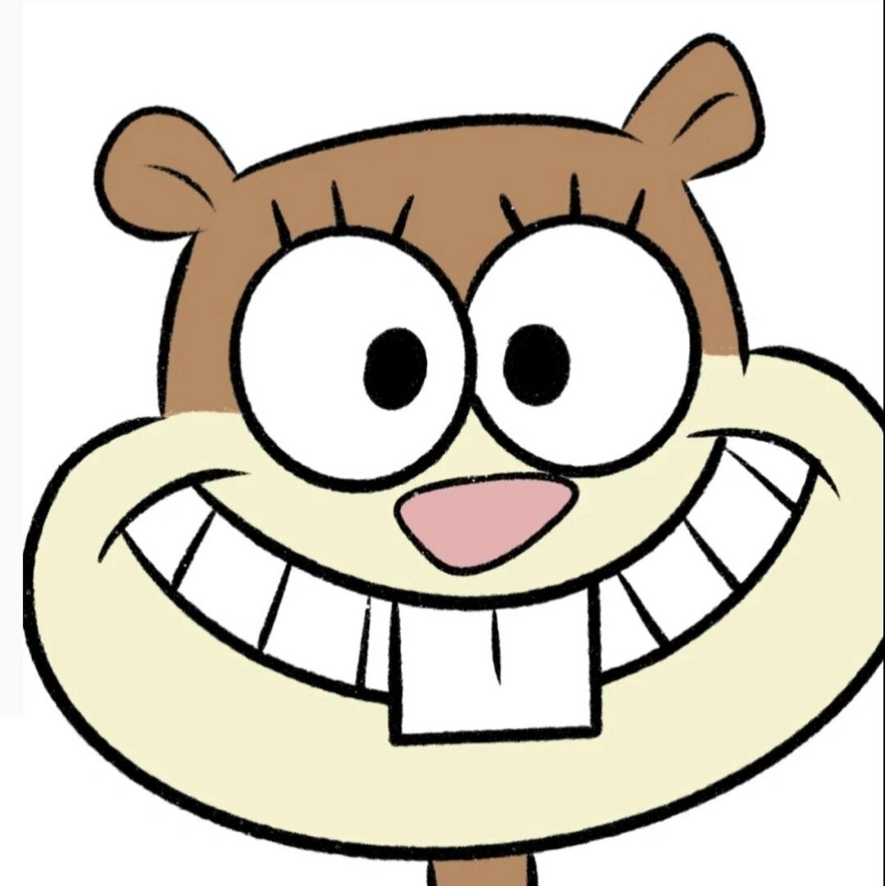 松鼠珊迪头像(1) 图源网络,知道原创的贝贝们艾特我