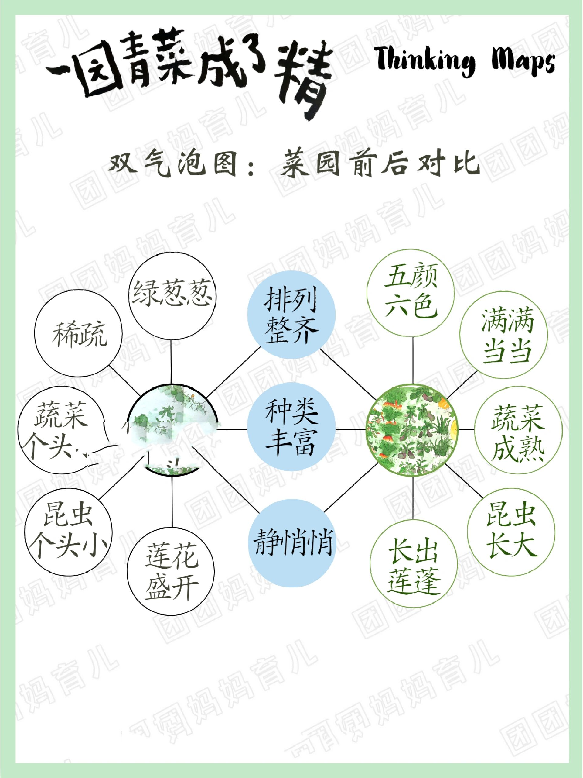 种植蔬菜思维导图图片