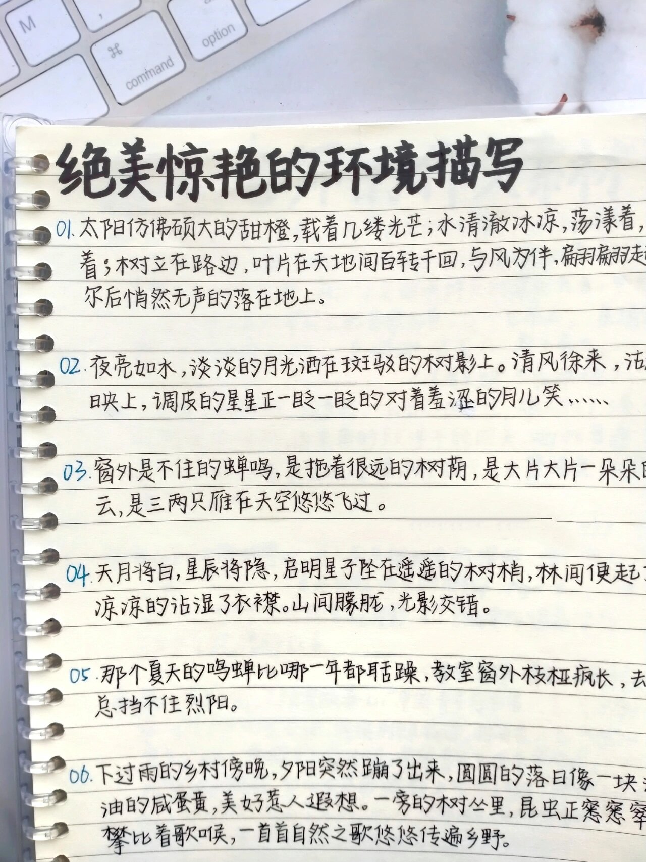 作文素材|绝美惊艳的环境描写✨