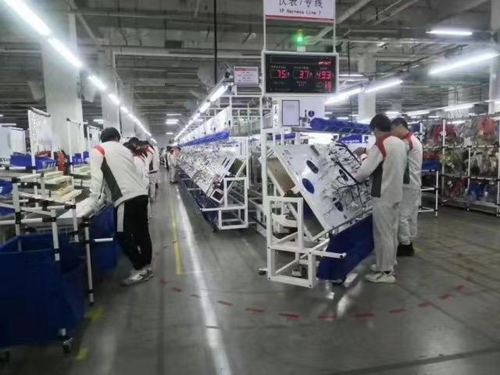 保定徐水长城:徐水线束 插线,外装,总装,布线,单头,电检等(工作简单