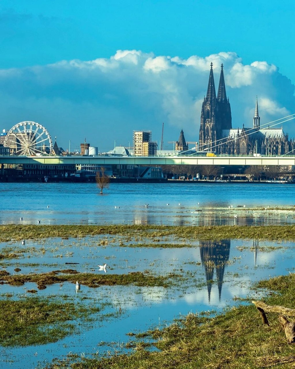90科隆大教堂(cologne cathedral),德国科隆的一座天主教主教座堂