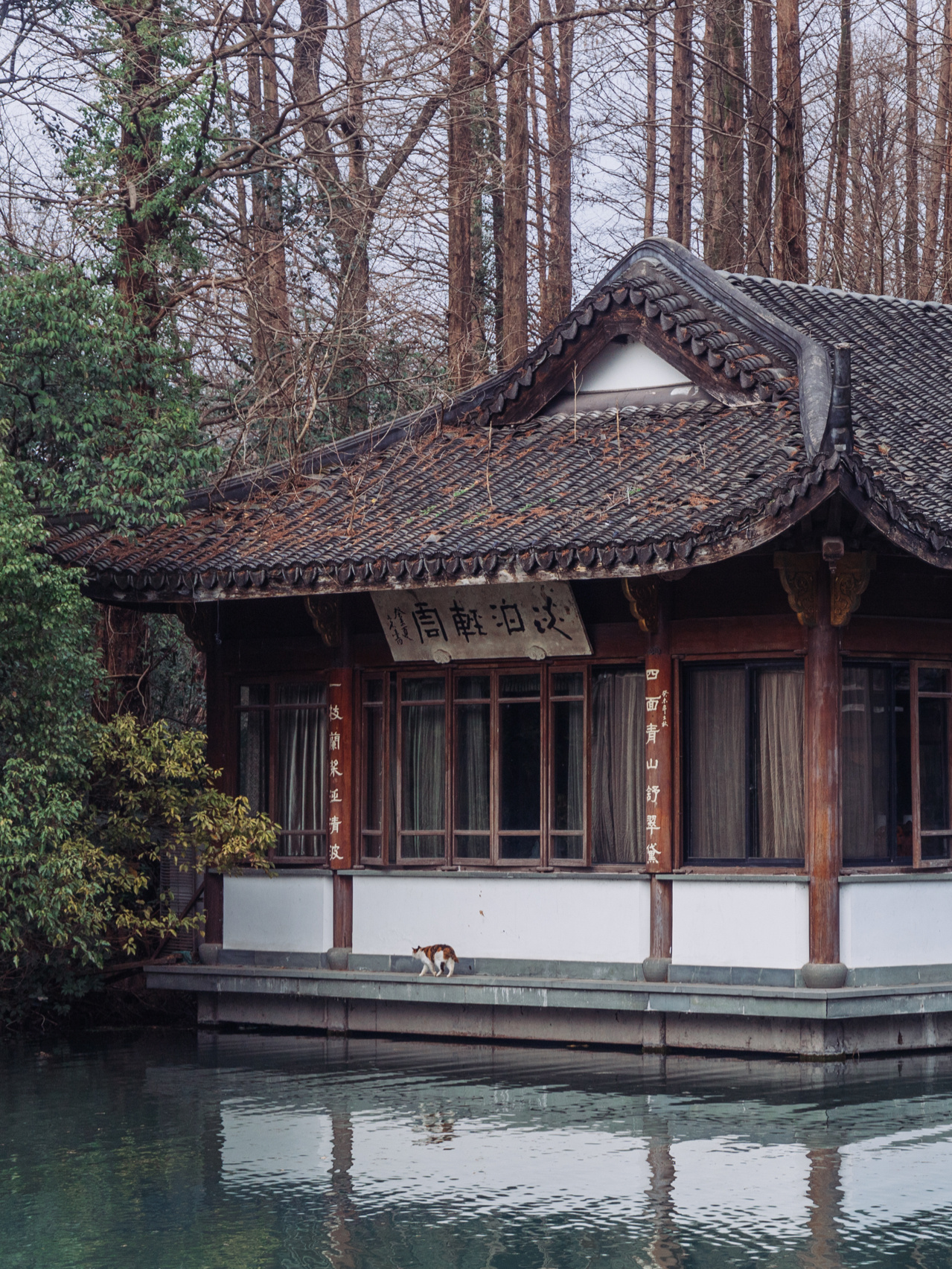 来杭州那么多年第一次来这里, 离花港观鱼很近,景美人少还不要门票