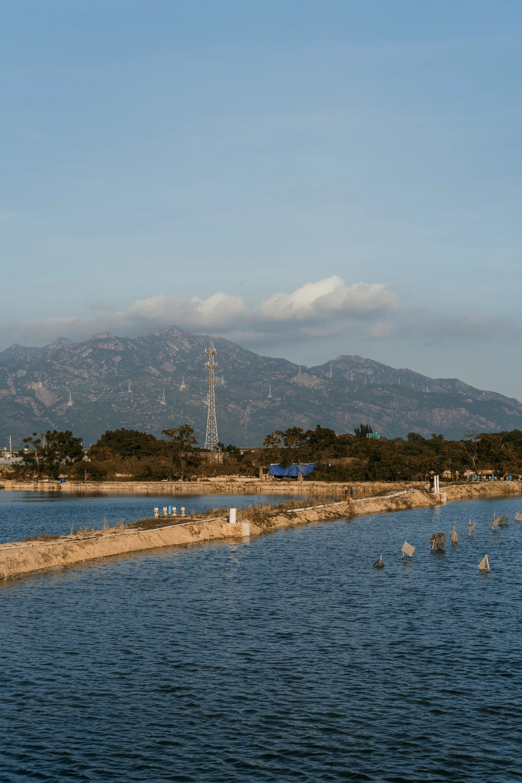南方何时才秋来|云霄佳洲岛