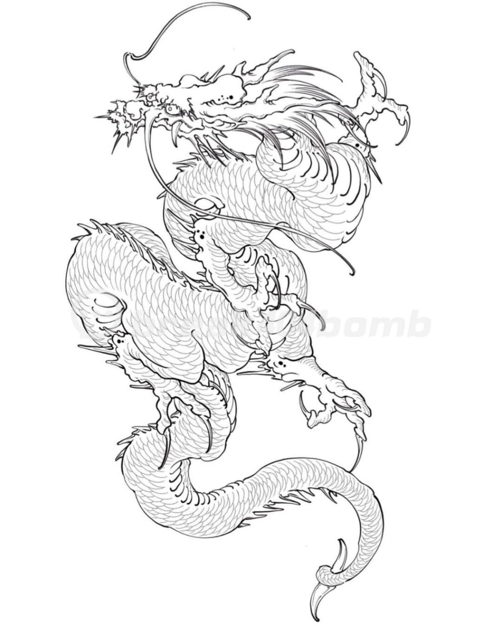 龙纹身线稿|新传统龙纹身手稿 一组灵动的龙纹身手稿,适合临摹二次