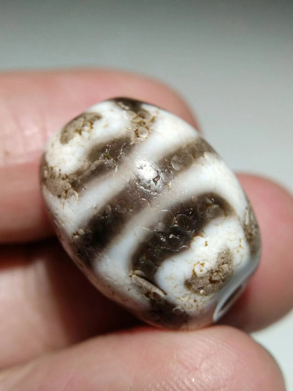 高油润藏传火供钙化至纯达洛虎牙莲花天珠,通体白化白芯,泌色唯美老味