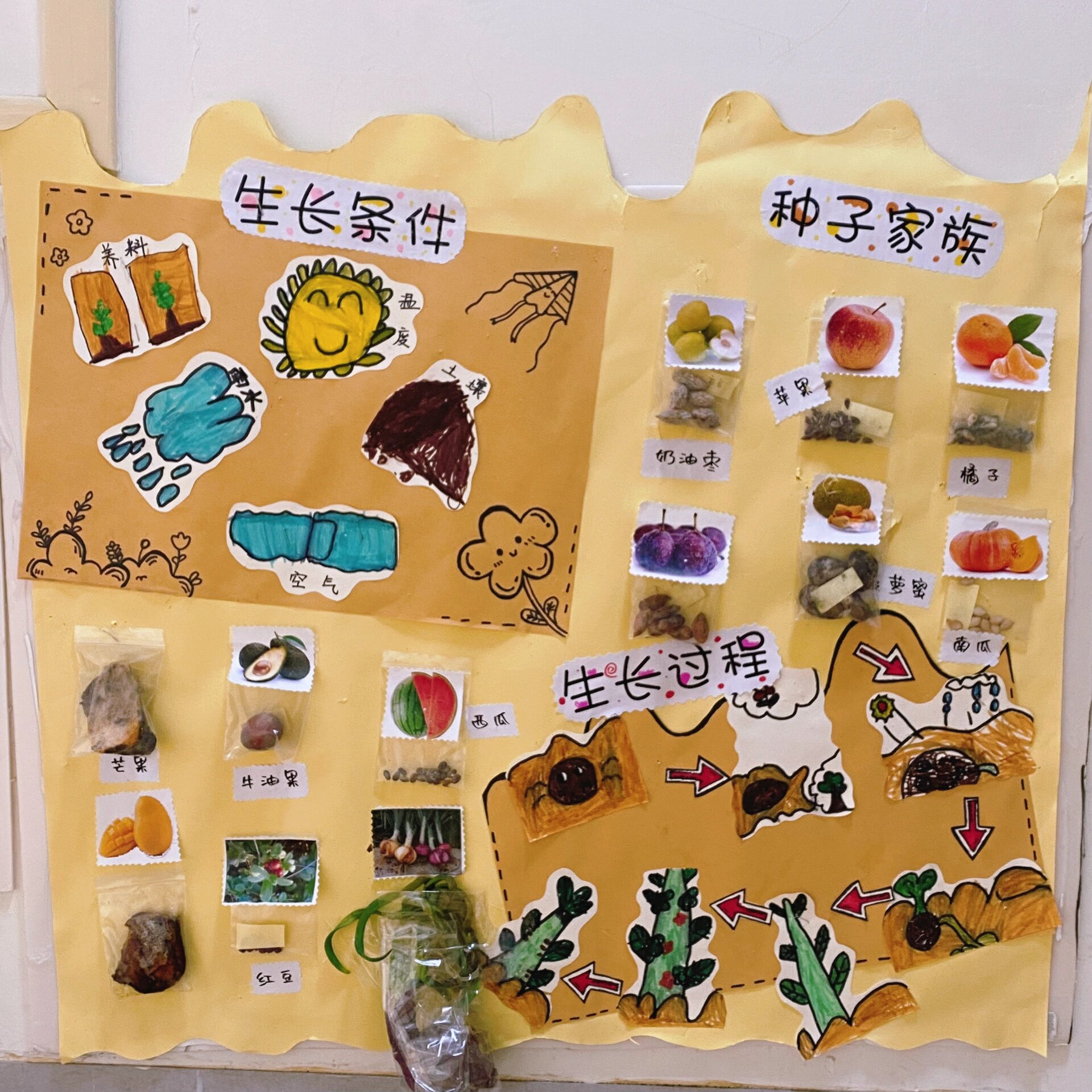 幼儿园植物角设计理念图片