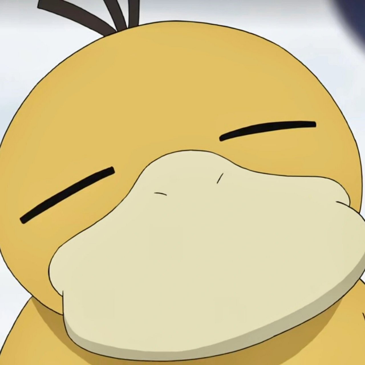 宝可梦 | 这一集就是可达鸭头像专场吧!    菊菜小姐的工位和家