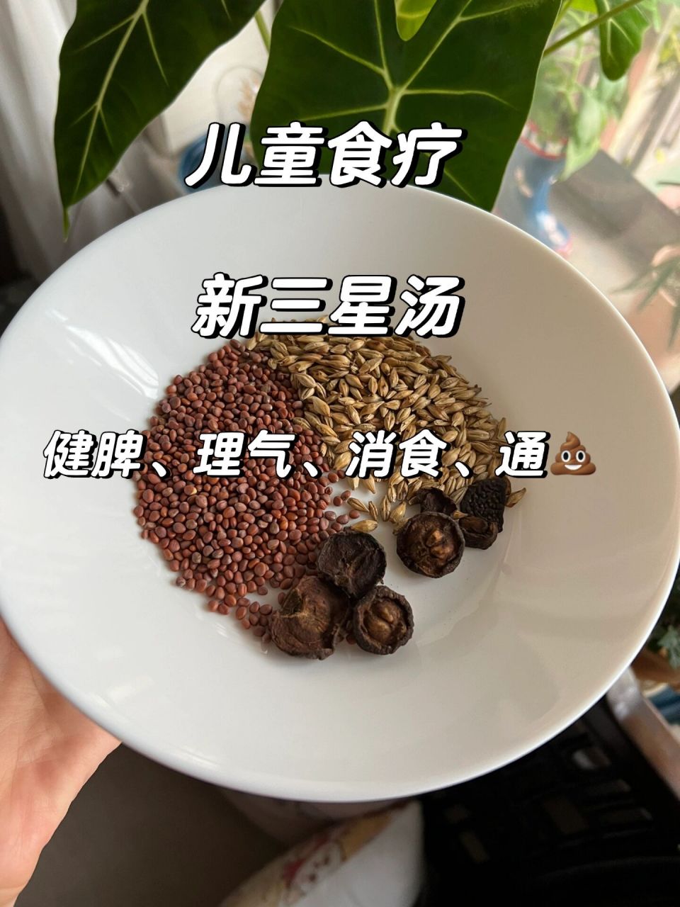 新三星汤材料:炒麦芽10g,莱菔子10g