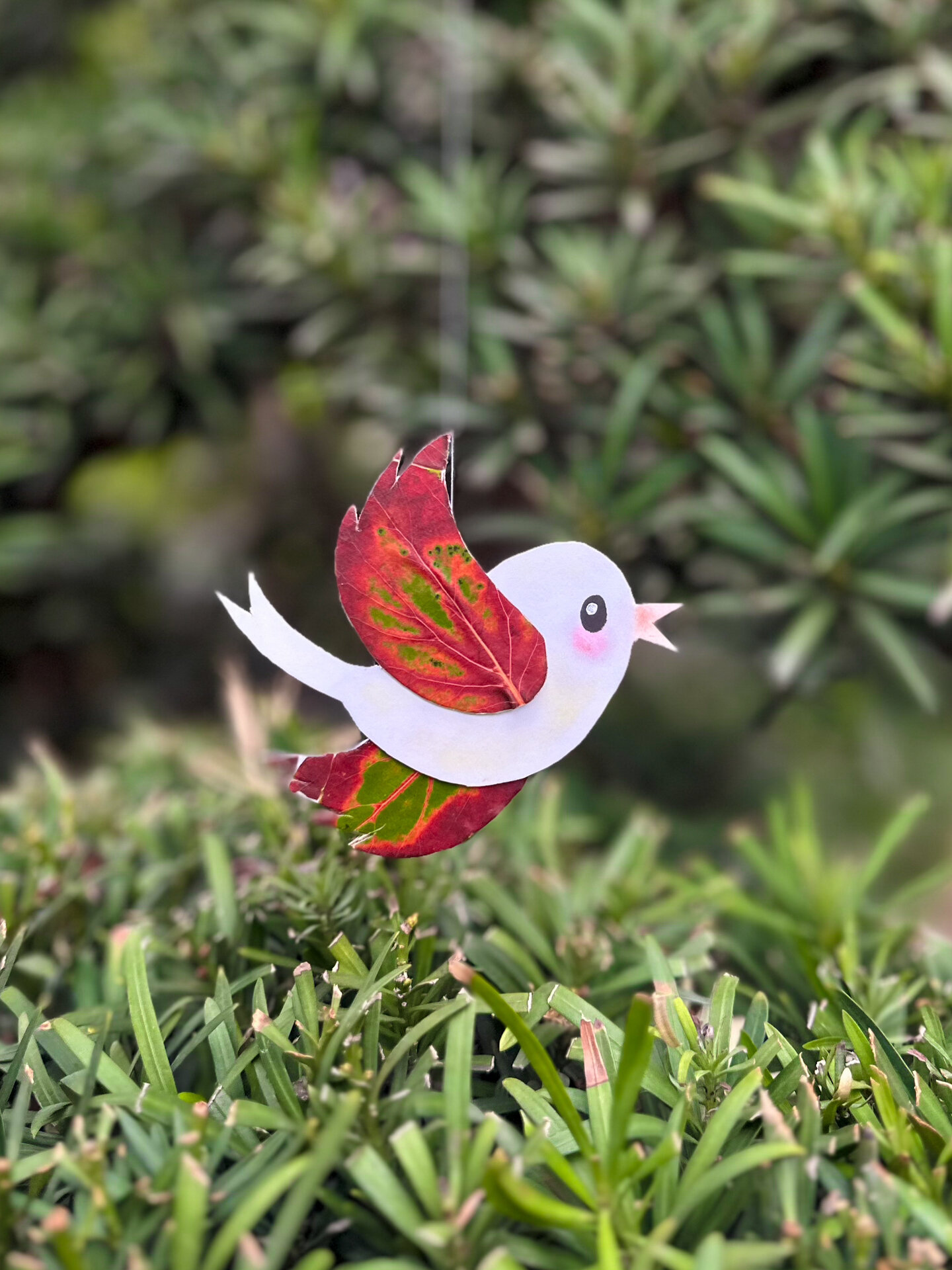 学会101种自然手工|如何制作树叶小鸟?