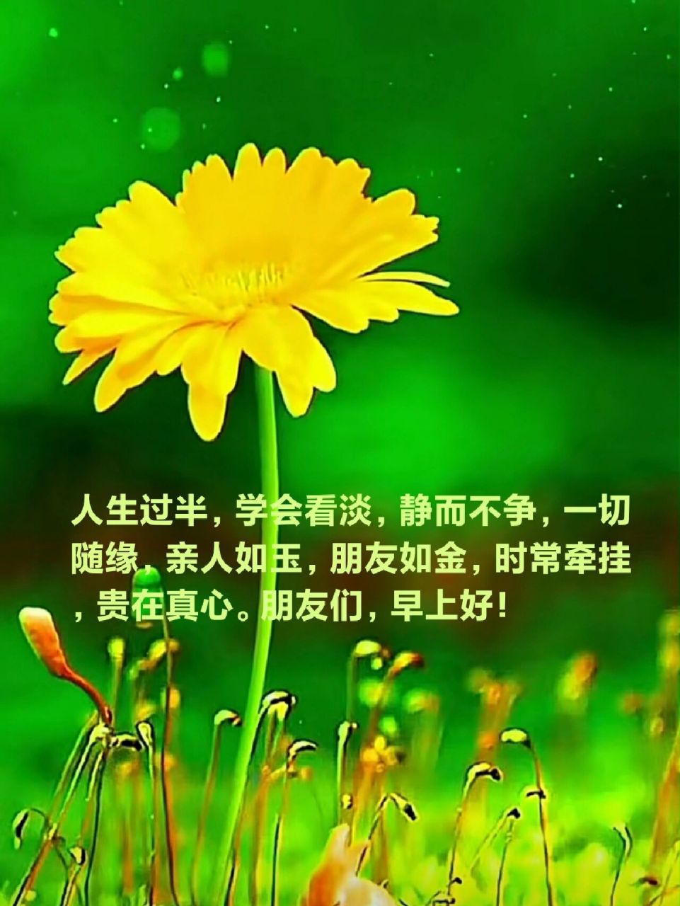 朋友圈早安问候文案图片 人生过半,学会看淡,静而不争,一切随缘,亲人