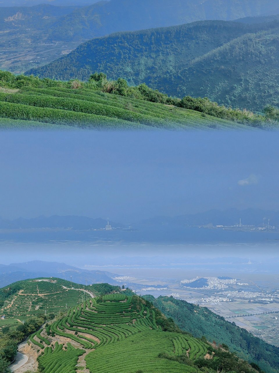 连江炉峰山|福建"最美茶山"95 登上全县最高海拔的山顶,沐浴在满眼