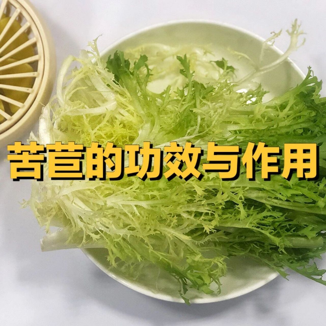 苦苣的功效与作用 苦菊是菊科,菊苣属的一年生或两年生草本植物,性喜