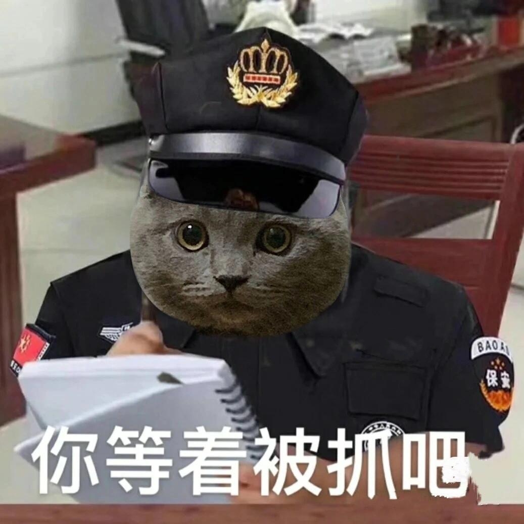 被警察逮捕的表情图图片