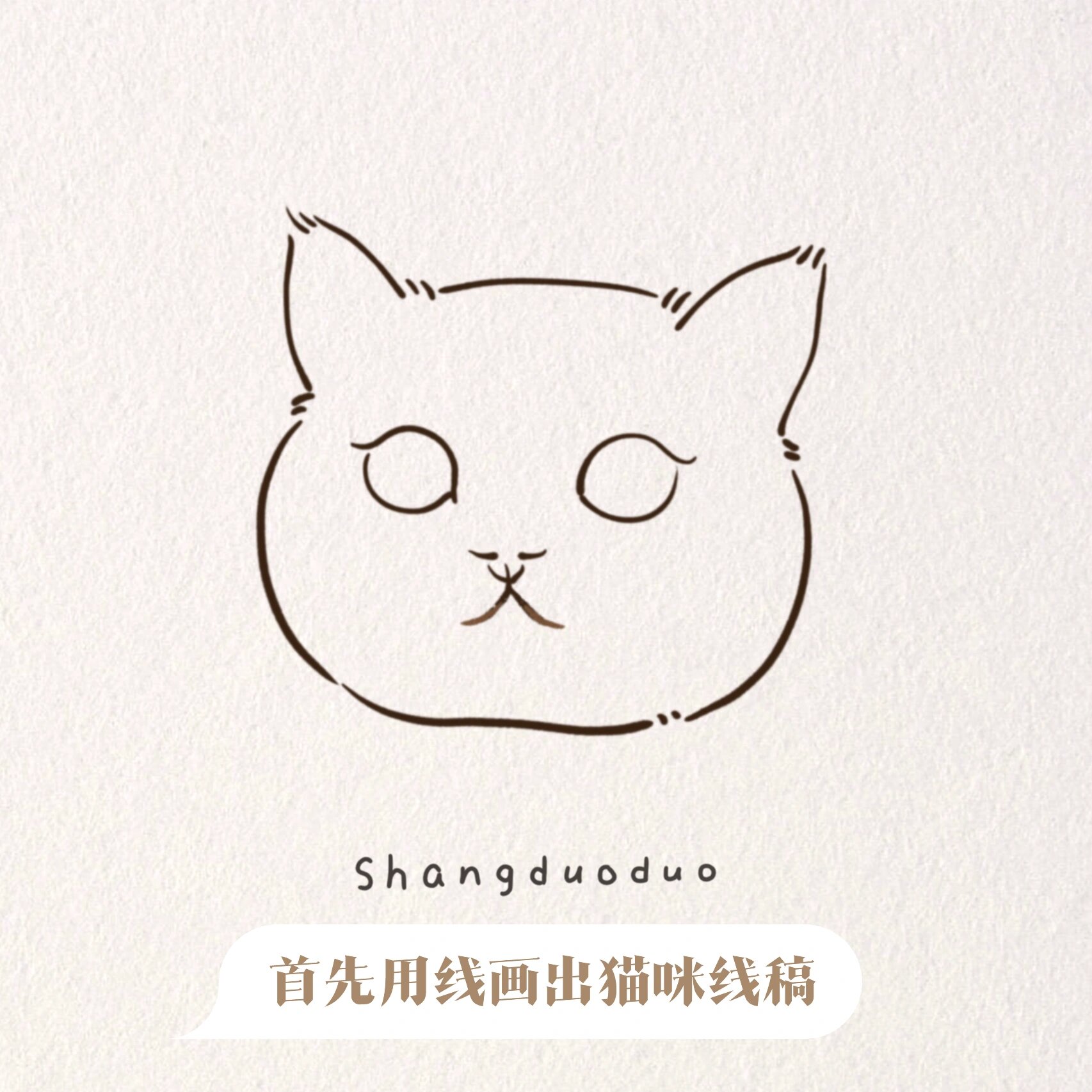 ipad画猫咪教程|金渐层93 往后翻有详解图 工具:ipad,ipencil 软件