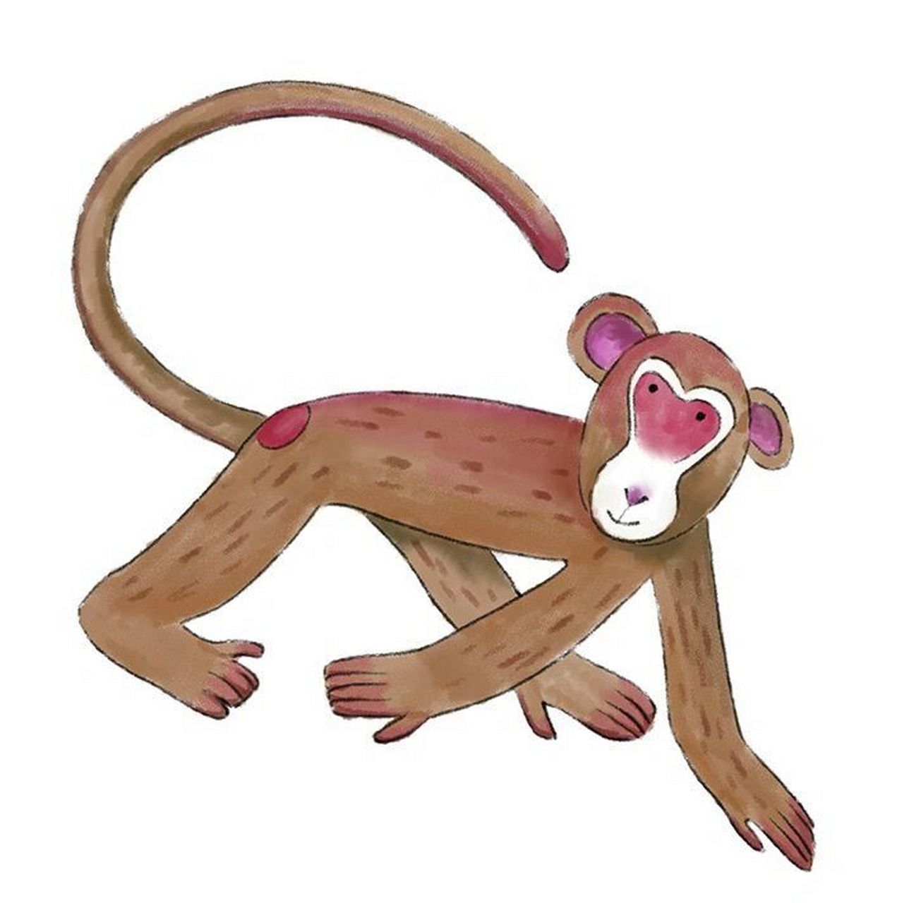 比尾巴  公开课 教具来了 姐妹们98这个教具不需要买啊,费那钱喝