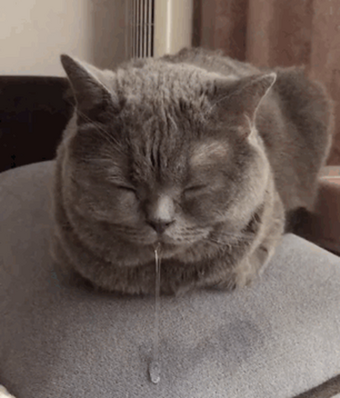 五小布微提示# 【#睡觉流口水可能是病#】口水的分泌由自主神经系统