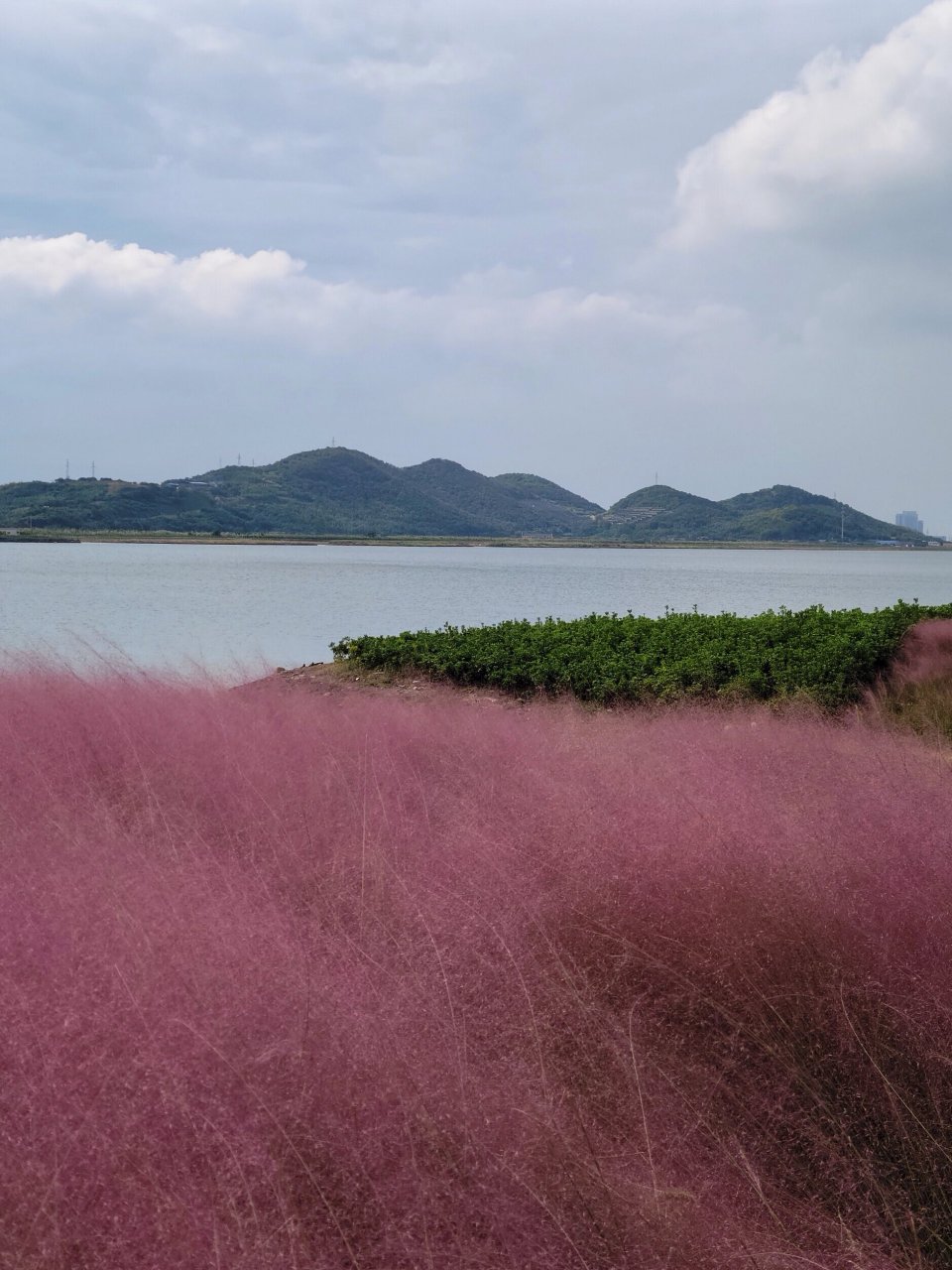 宁波北仑梅山岛图片