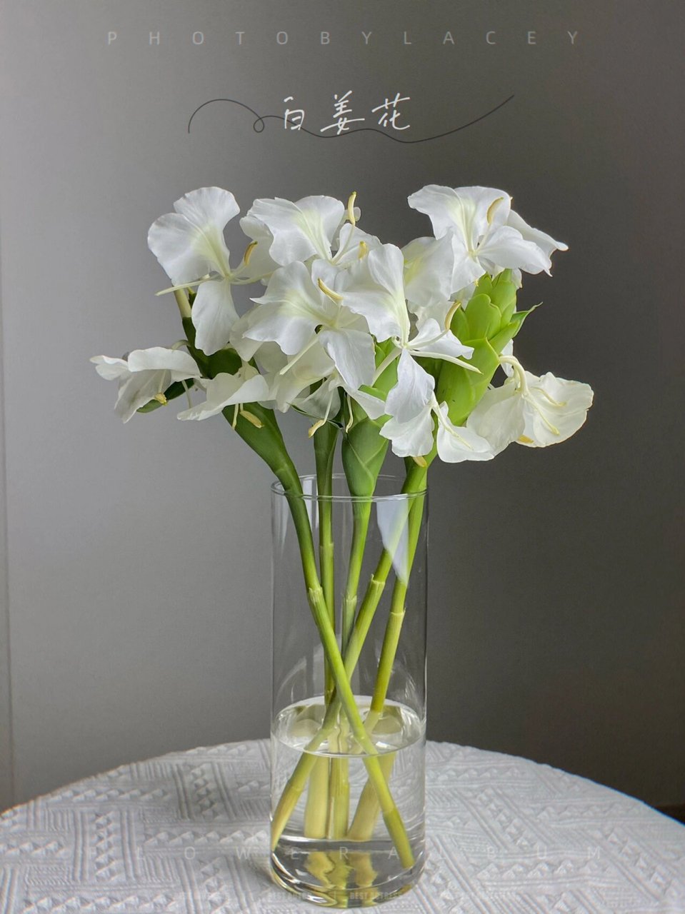 夏日限定·白姜花 7015大家好～ 	 今天依旧是广东夏日限定—白姜