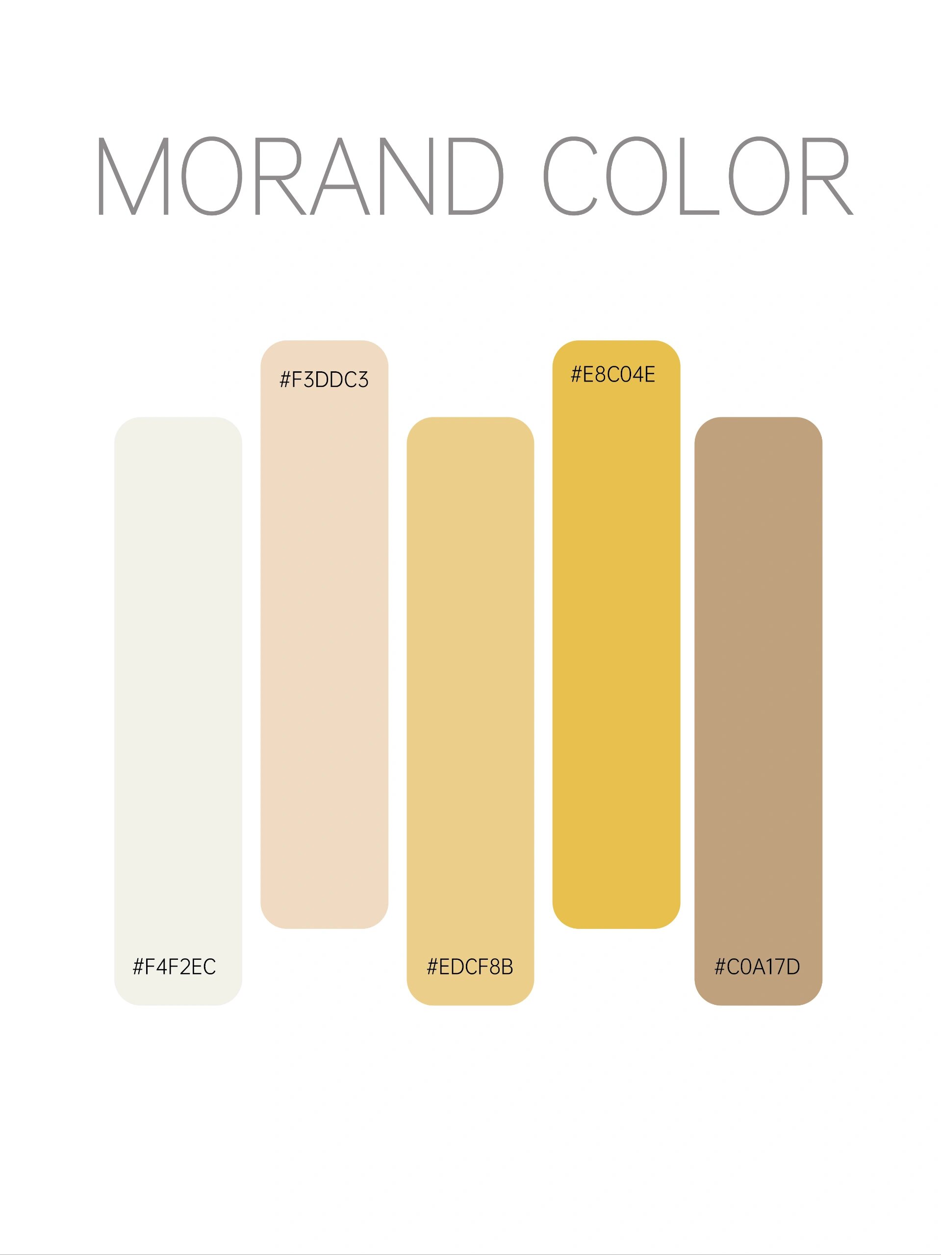 温柔恬静的咖啡色系 你值得拥有