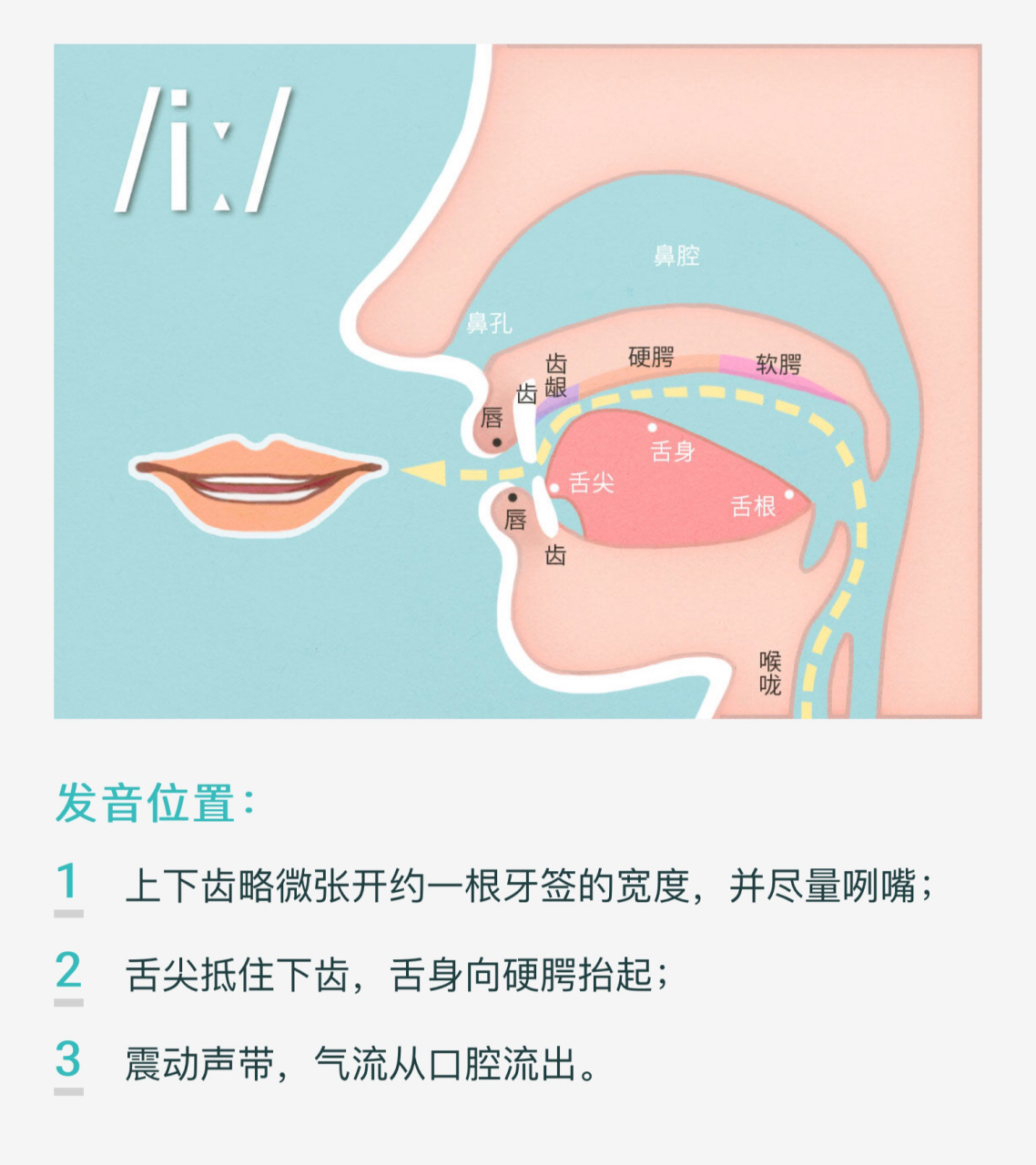 英语音标发音舌位图图片