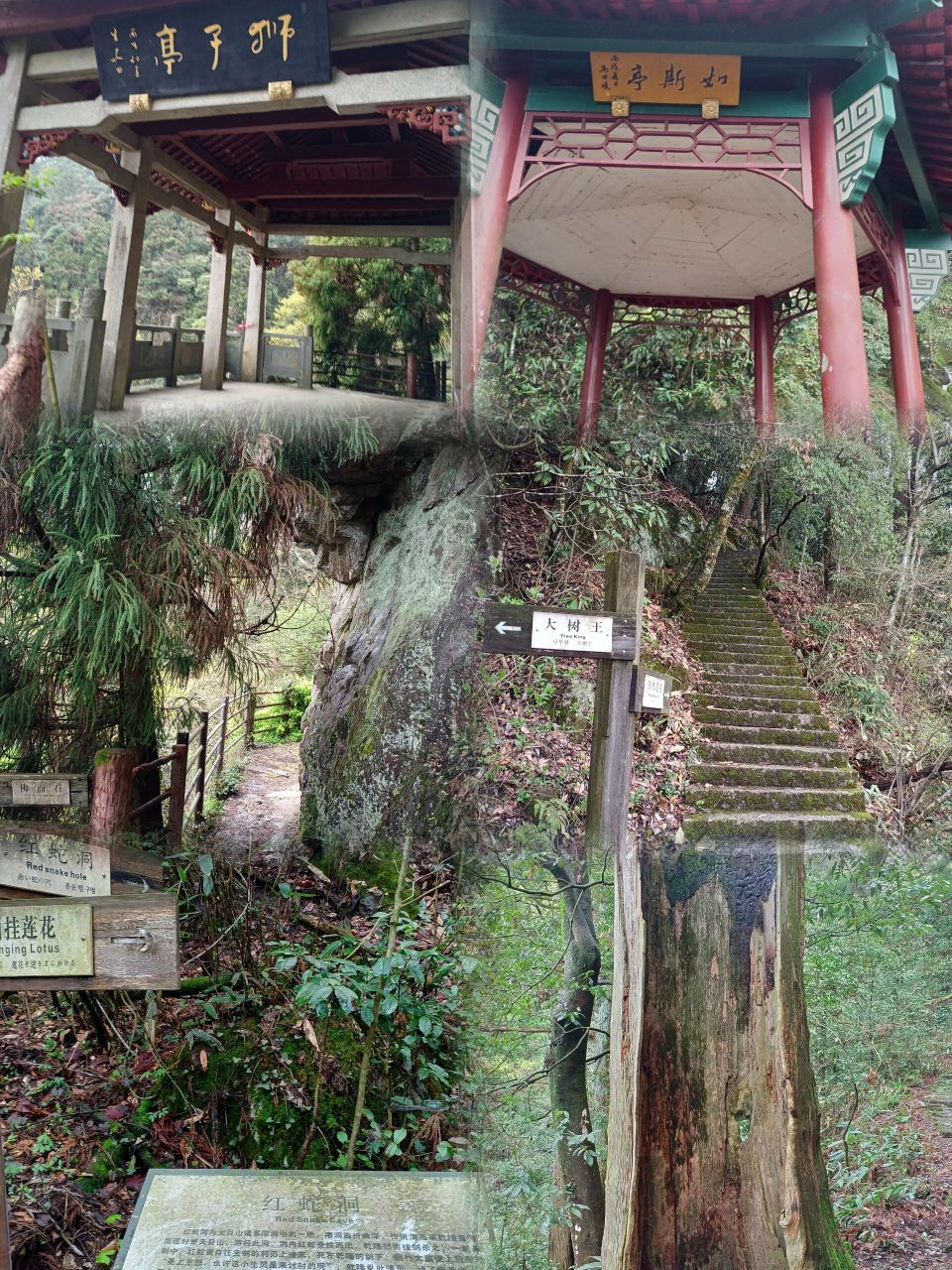 天目山一日游图片