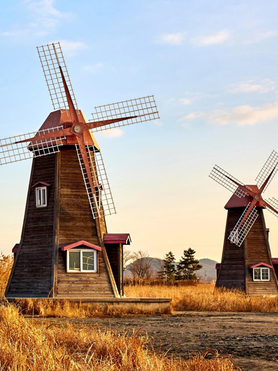 钢笔速写# #速写慢绘人生# #钢笔画练习# 风车之国荷兰———美丽的