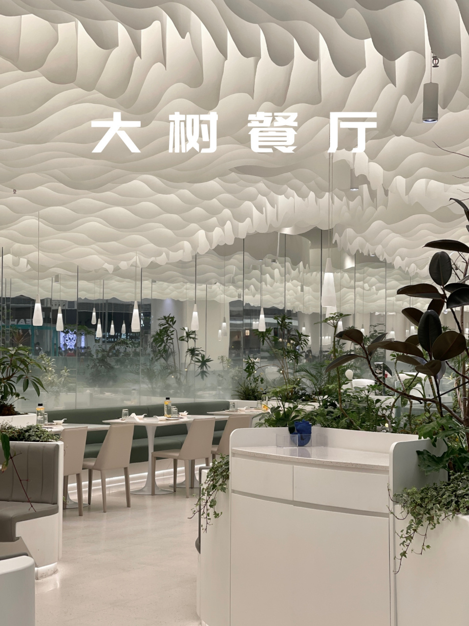 郑州|大树餐厅 99 郑州首家大树餐厅 94咖喱面包鸡太绝了 这家店