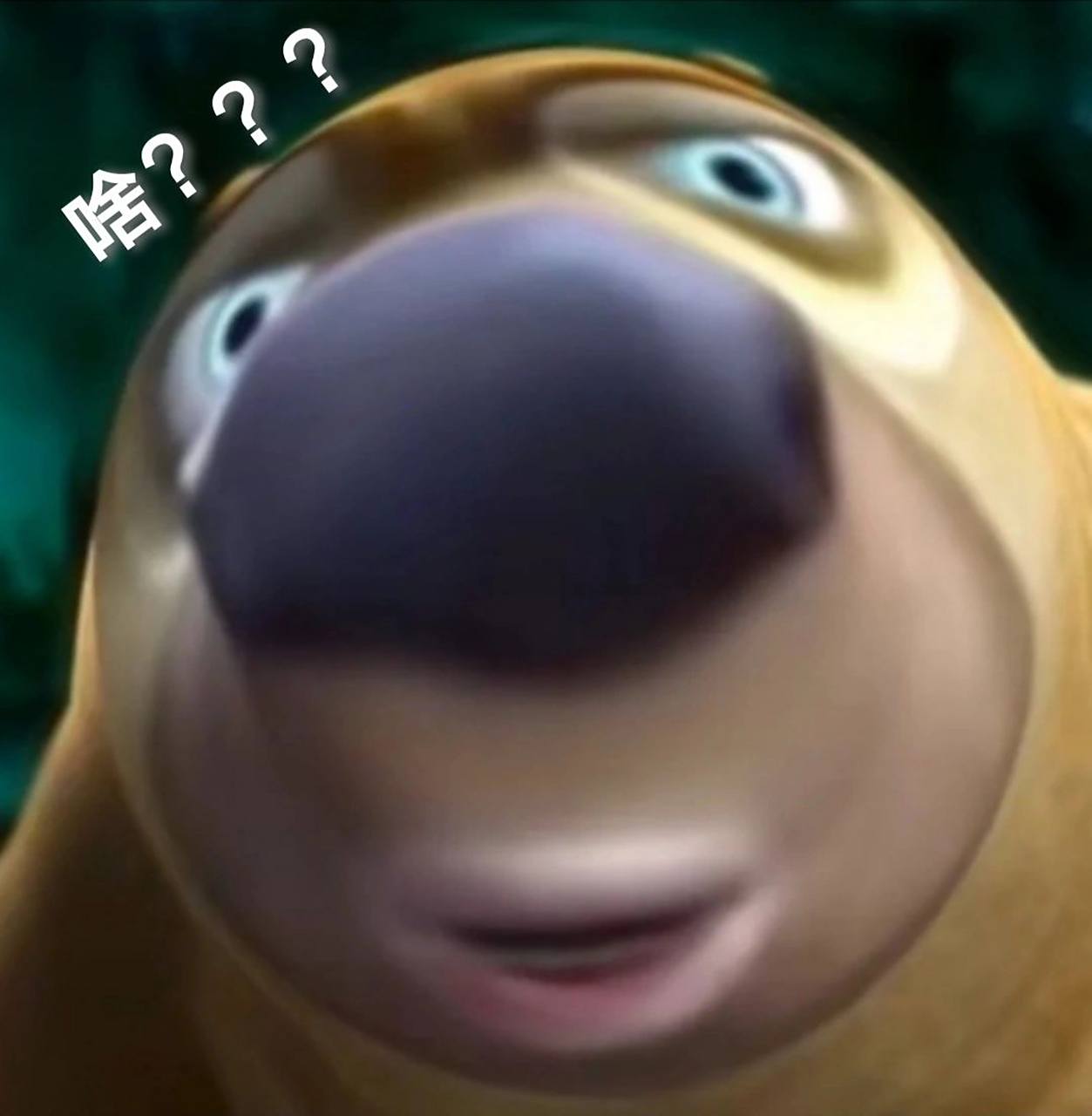 熊出没搞笑表情包 熊二真的好有喜感