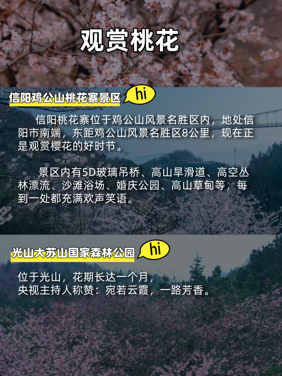 信陽週末去哪兒玩?3月打卡賞花,這幾個地方一定要去!