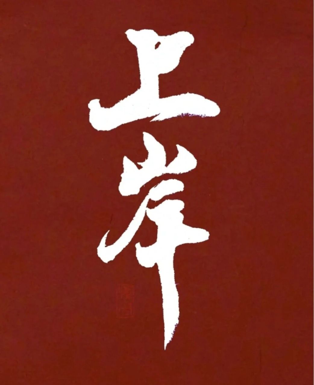 上岸了 江苏海洋大学 专业数字与应用数学