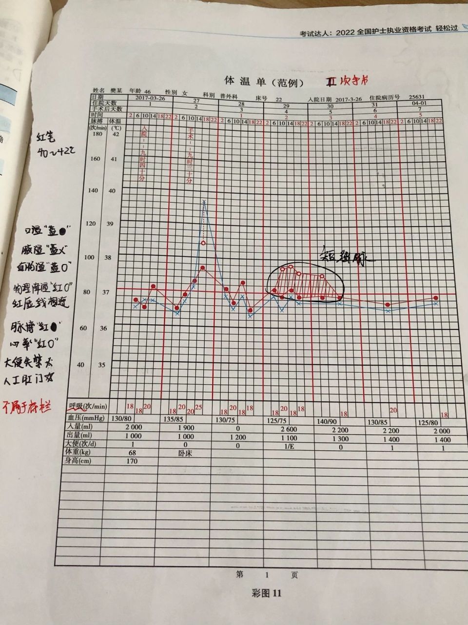 体温单的绘制及图解ppt图片