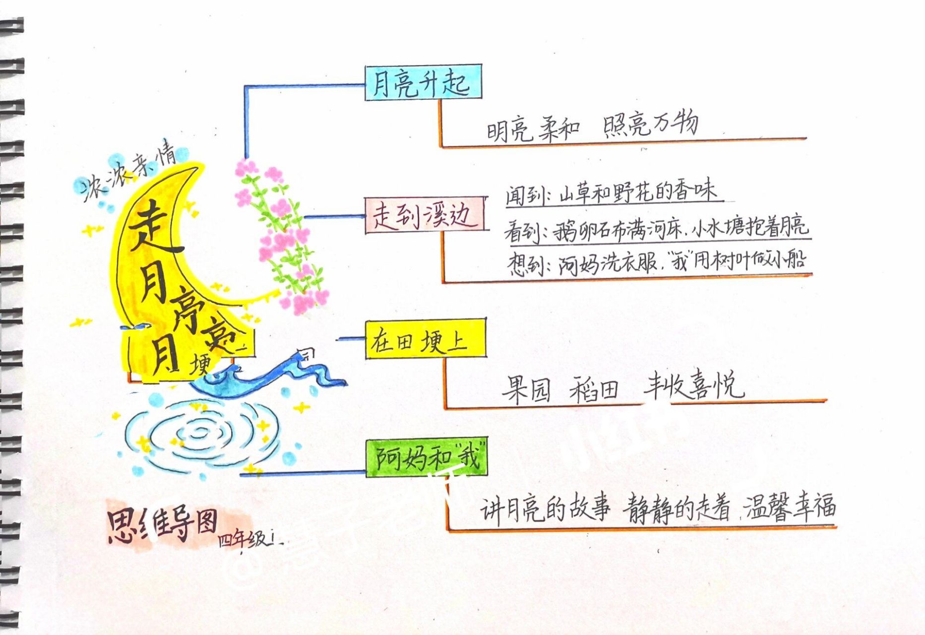 月球思维导图小学生图片