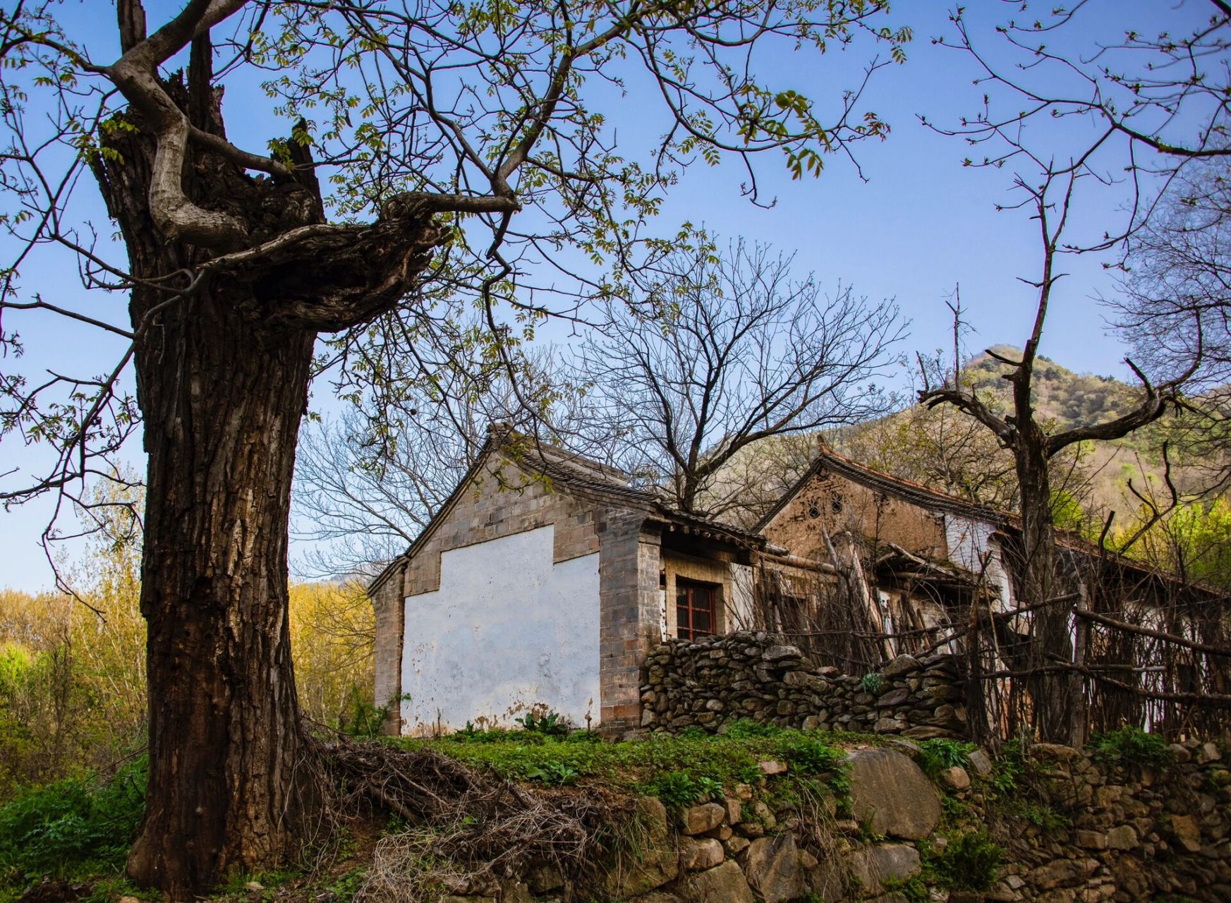西安小众游绝佳地——秦岭脚下虎峪村       最美人间四月天,正是踏春