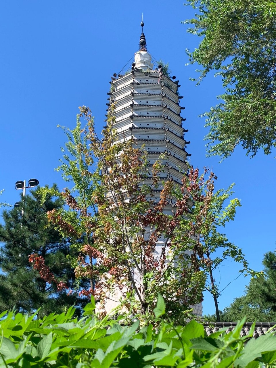沈阳无垢净光舍利塔～塔尖留得古斜阳 沈阳舍利塔建于辽1044年,清1640