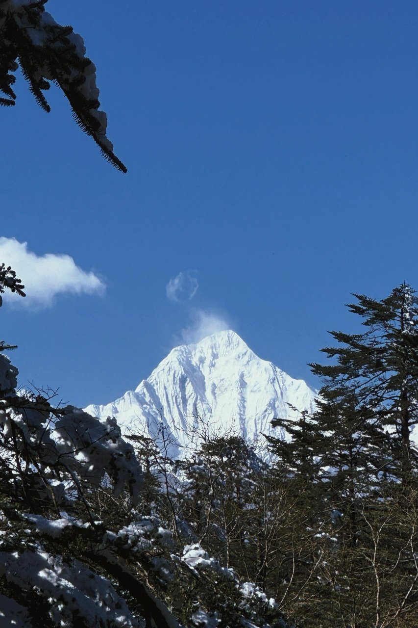 王岗坪景区海拔图片