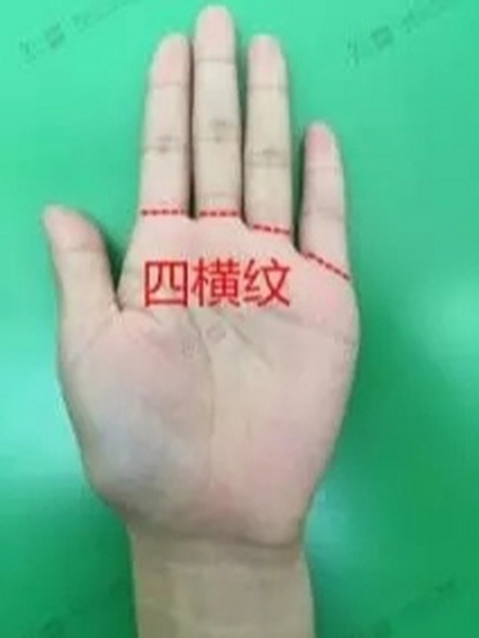 大四横纹 大四横纹