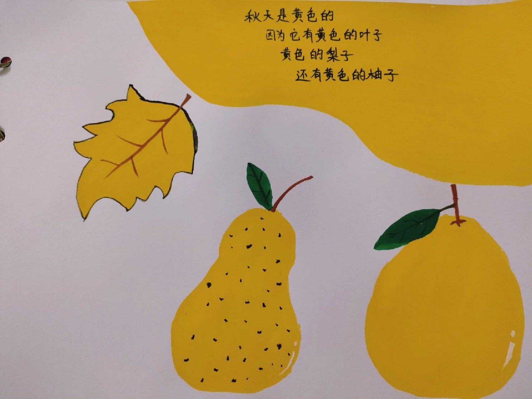 幼儿园绘本《秋天的颜色》 小时候自己做作业,长大后给儿子做作业 老