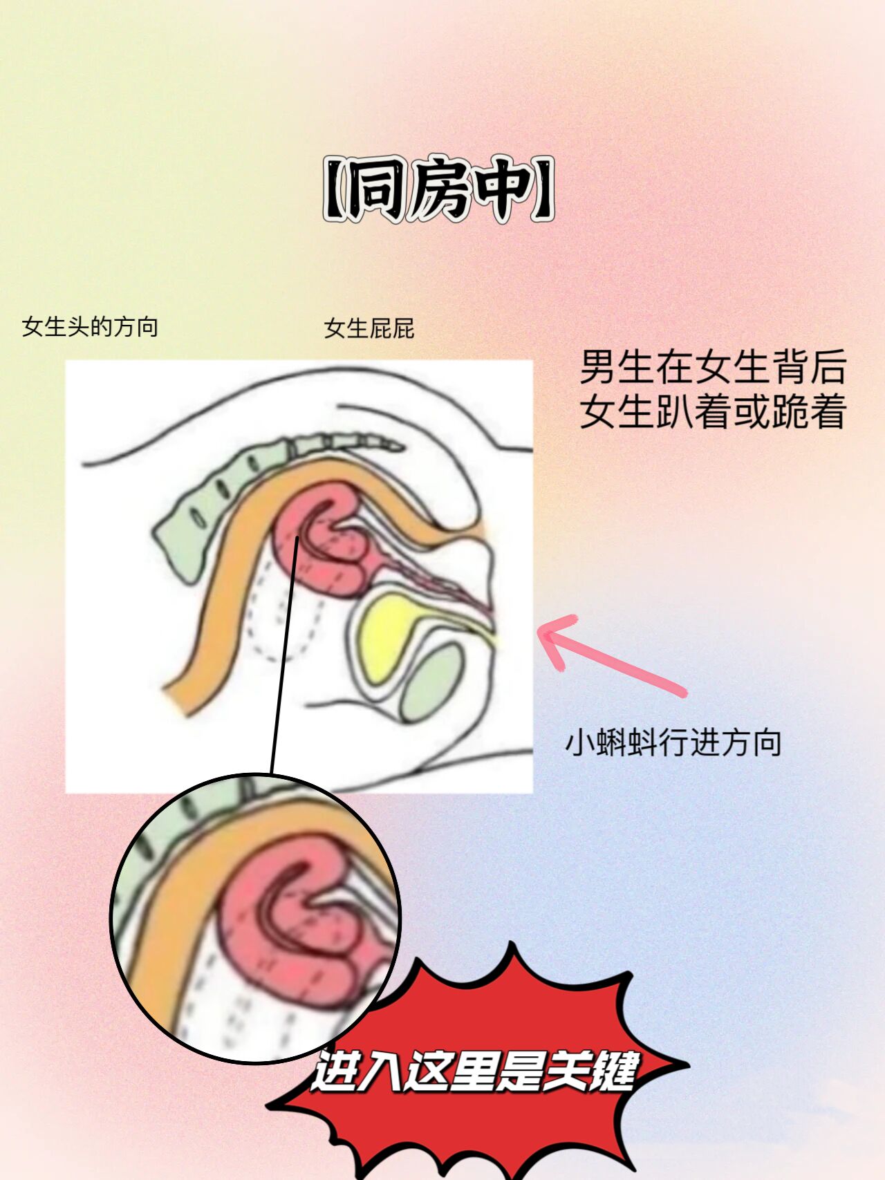 子宫后位同房后 都给我趴着 "每天