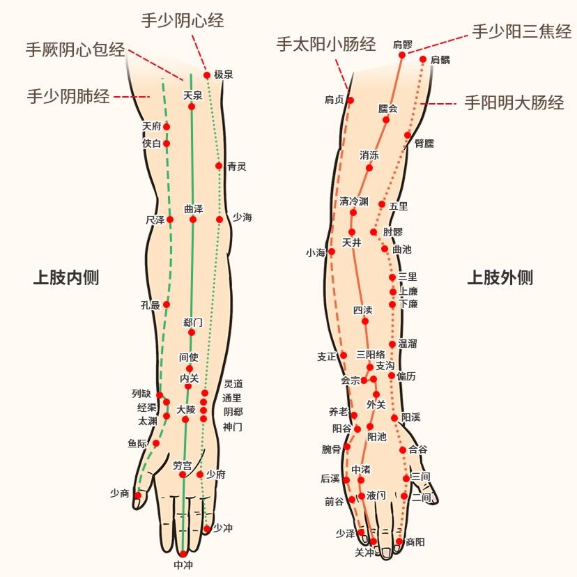 三阳经的准确位置图片图片