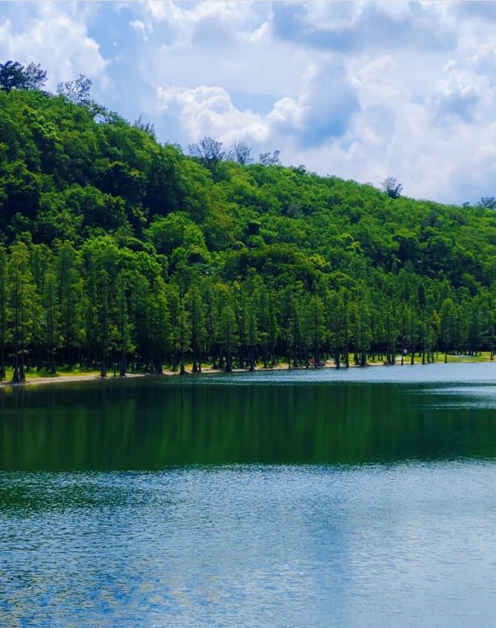 湛江旅游|麻章区最热门出游地集合 湛江热门出游地推荐第三弹:麻章区