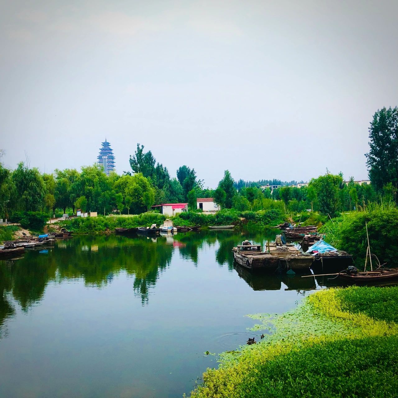 枣庄微山湖风景区图片