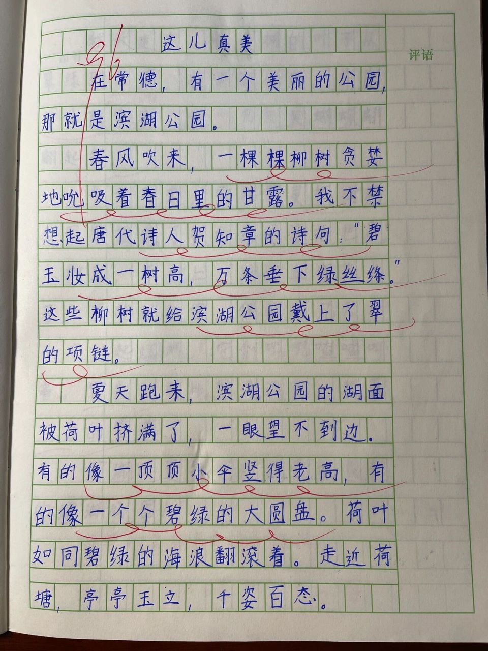 三年级作文《这儿真美》