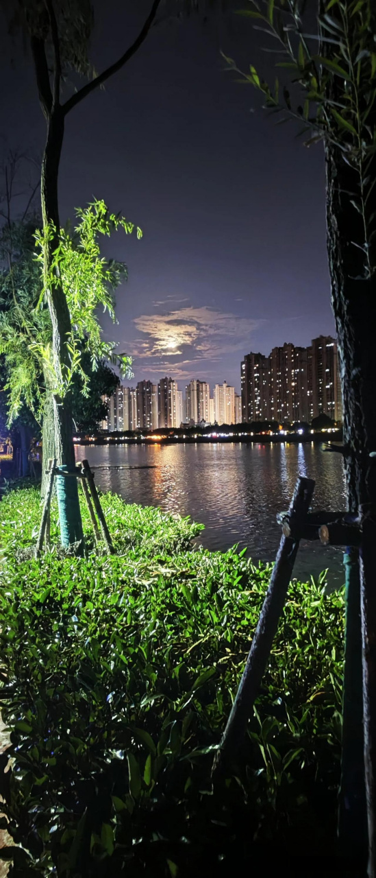 明月照高楼,流光溢彩楼.