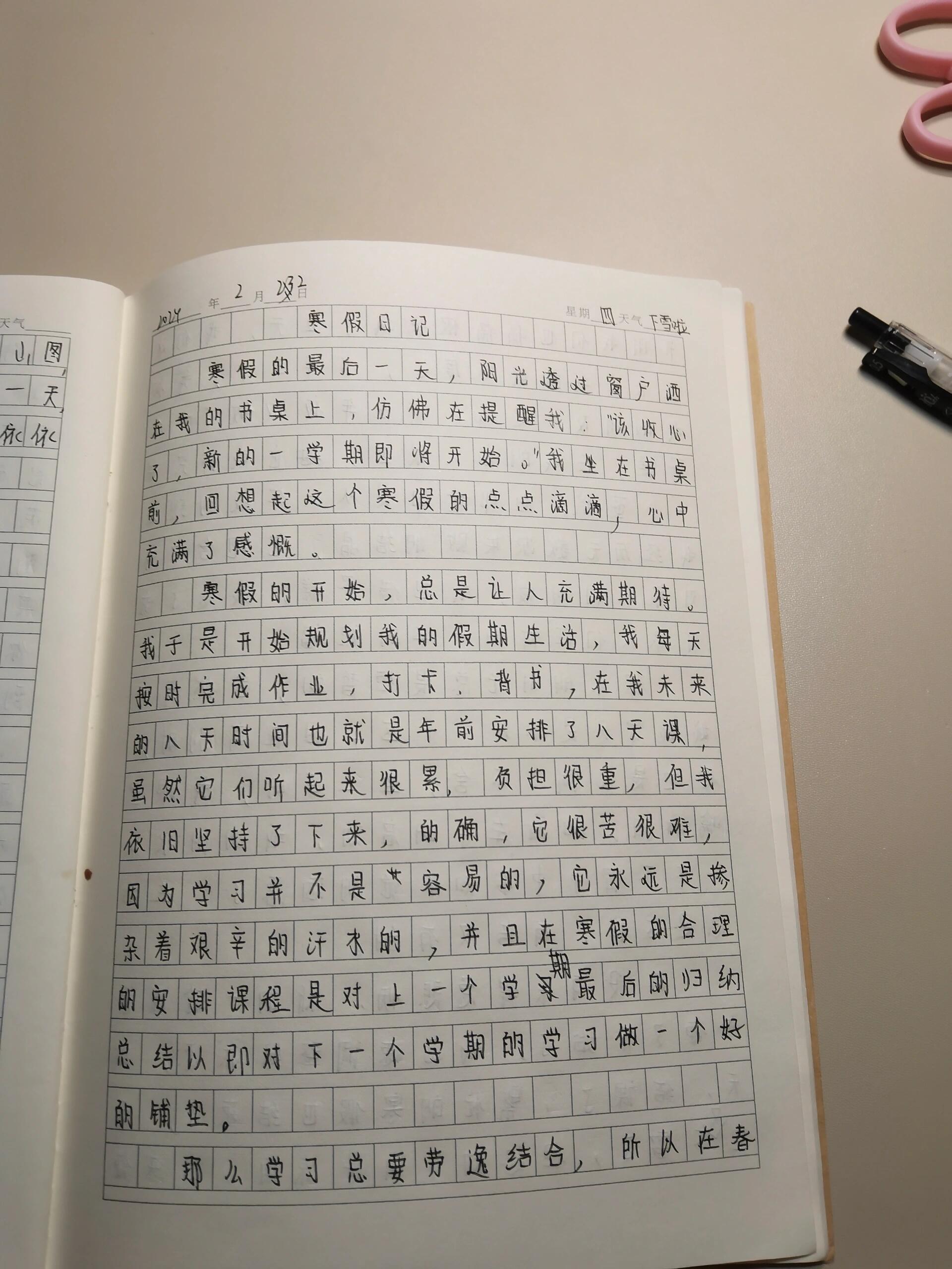 最后一篇寒假日记,七年级上学期