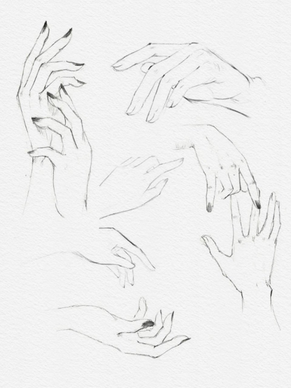 色彩,创作课程 线稿课程里就会详细的介绍手部的画法哦